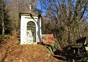 Monte Zucco (1232 m) ad anello in solitaria sui sentieri di casa (Zogno-300 m) 18nov闂????20 - FOTOGALLERY